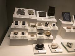 -天津自然博物馆
