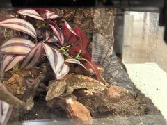 -上海昆虫博物馆