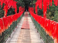 -桂林古东瀑布景区