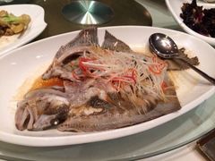 多宝鱼-舜耕山庄南风阁(舜耕路店)