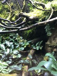 -酷嗒动物文化乐园(cutezoo西溪乐天城店)