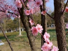 -白塘生态植物园
