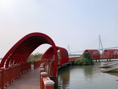 -芒洲湿地公园