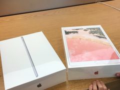 -Apple 零售店(Canton Road)