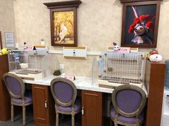 -宠爱国际动物医院· 猫科· 外科·中兽医(长白店)