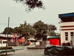-北京世界公园