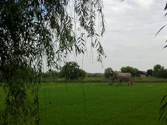 -长兴太湖图影湿地文化园