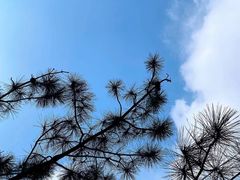 -安徽天堂寨风景区