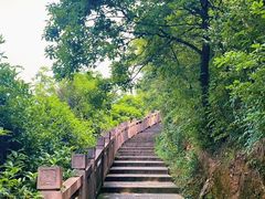 -杭州半山国家森林公园