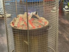 -鑫龙火锅城(青岛分店)