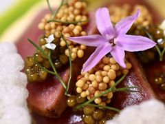 -广州四季酒店·佰鲜汇·现代法餐