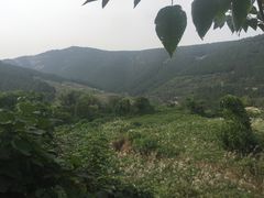 -龙洞风景区-藏龙涧