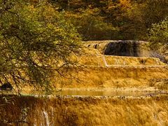 -黄龙山原始森林景区