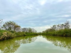 -大湾区中央湿地公园
