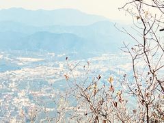 -午潮山国家森林公园