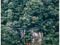 -龙湾潭国家森林公园