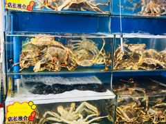 -蚝专家(北滘店)