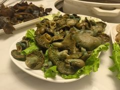 -爱膳菌锅锅(阳南店)