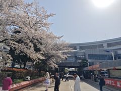 -上海南浦大桥长途旅游客运站
