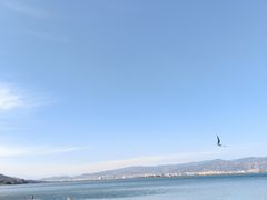 -西昌邛海湾柏樾酒店(原邛海湾柏栎度假酒店)