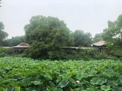 -勺园中餐厅