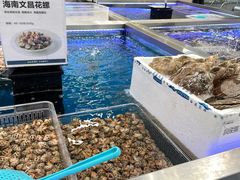 -盒马X会员店(上海森兰商都店)