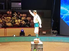 -上海马戏城