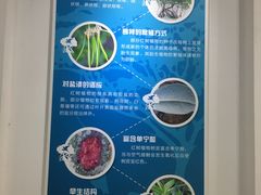 -东寨港红树林旅游区