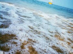 -北戴河圣蓝海洋公园