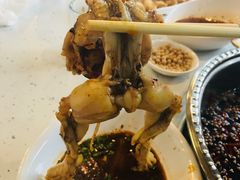 -麻辣巅峰美蛙鱼头火锅(犀浦店)