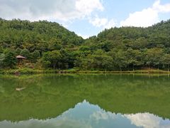 -广州白江湖森林公园