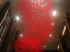 -嘉定凯悦·咖啡厅