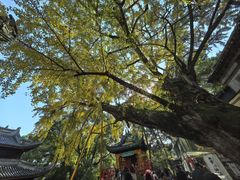 -无锡惠山寺
