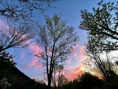 -佛慧山