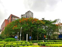 -珠江夜游广州塔·中大码头