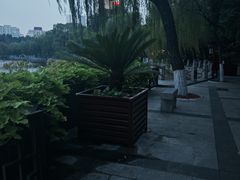 -文瀛公园