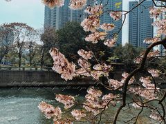 -成都市活水公园