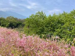 -福建鲤鱼洲酒店