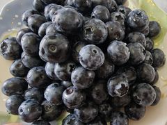 -登州市场(登州路店)