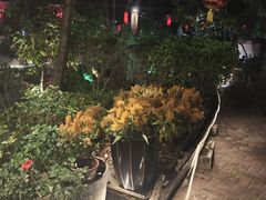 -花溪雨·森林餐厅(石基店)