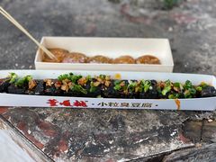 -董顺桃小粒臭豆腐(太平街一店)