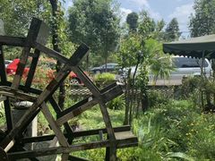 -青城甲(青城山店)