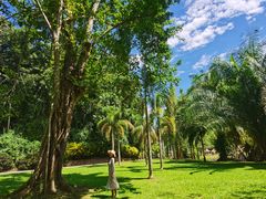 -中国科学院西双版纳热带植物园