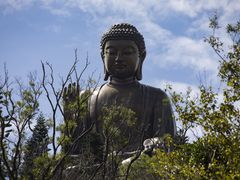 -宝莲禅寺