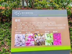 -高东镇樱花园