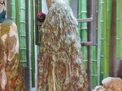 -雀舞云南菜(天津天河城购物中心店)