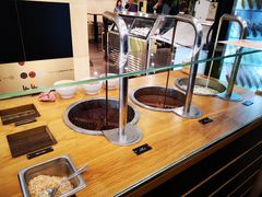 -Patagonia Chocolates(皇后镇店)