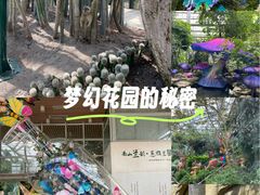 -南山植物园