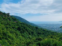 -亚龙湾热带天堂森林公园