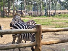 -大连森林动物园